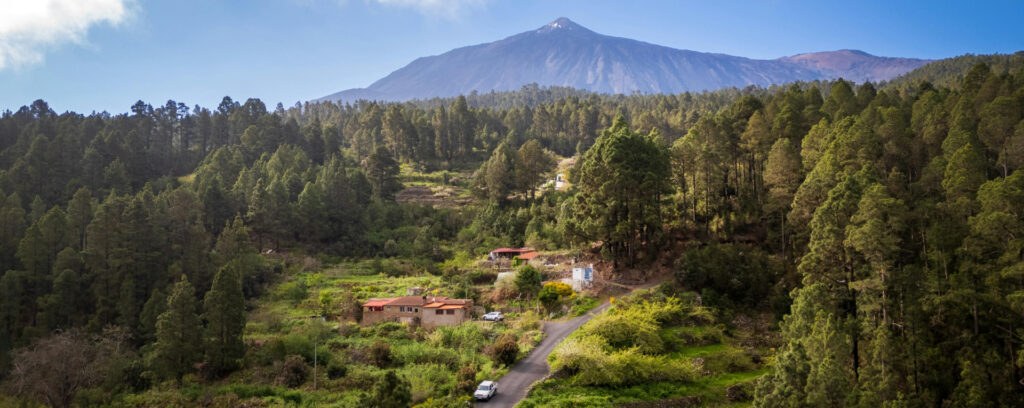 Paisaje del norte de Tenerife. Cómo moverte por la isla.
